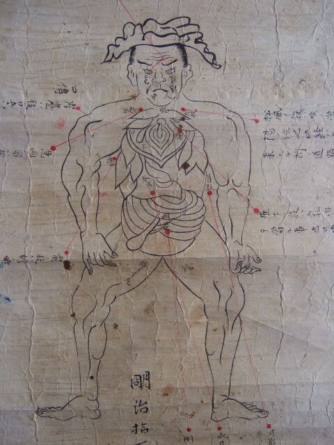 明治17年肉筆人体秘孔図「胴体之図」急所図つぼ鍼灸日本 明治17年肉筆人体秘孔図「胴体之図」急所図つぼ鍼灸日本