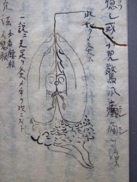 12838円 【中古】 風景入通信日付印集 (1976年) - 和書 12838円 【中古】 風景入通信日付印集 (1976年) - 和書