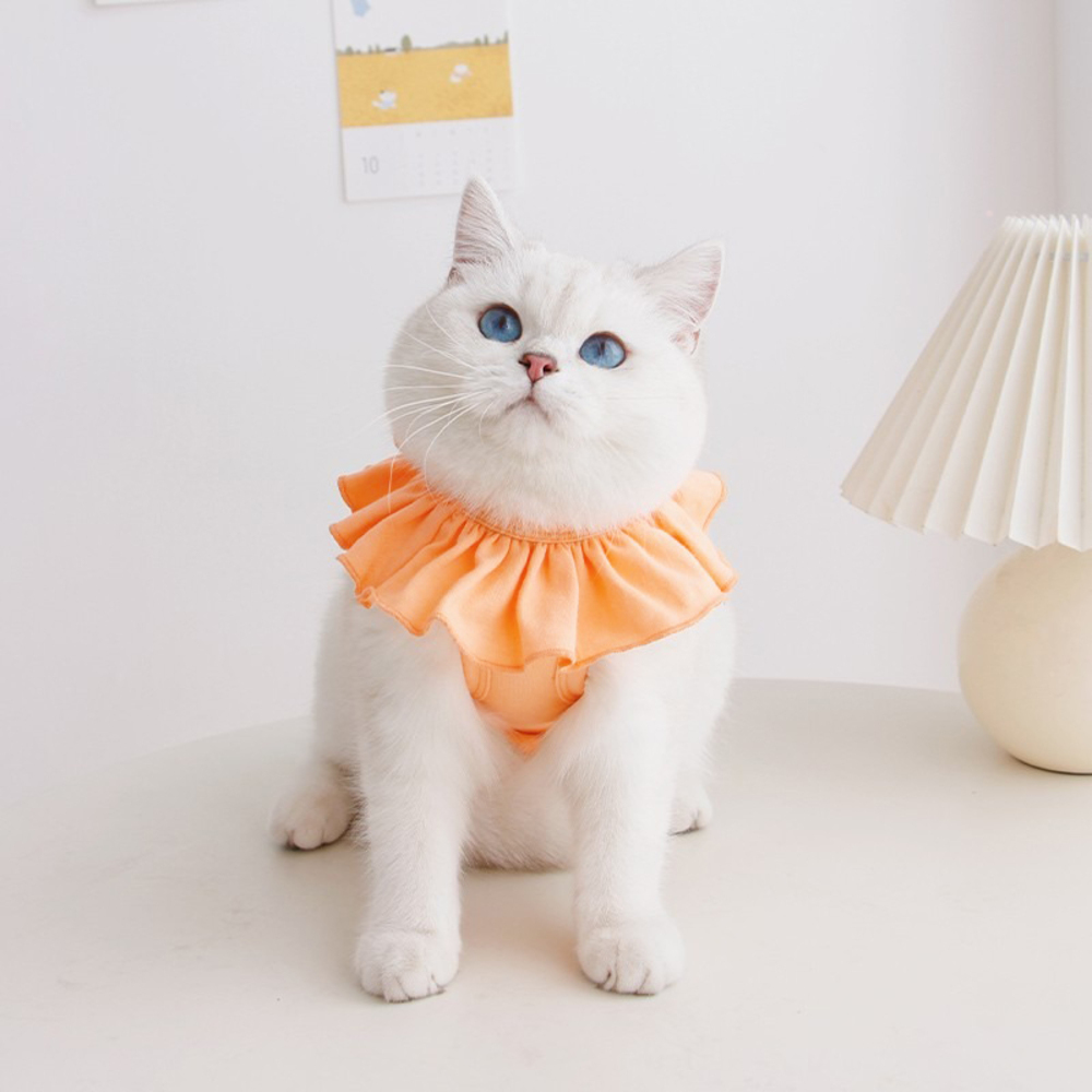* orange * M размер * кошка для . после одежда kcat12 кошка . после одежда рука . после одежда царапина облизывание предотвращение . после одежда одежда подгузники кошка кошка .. мягкий 