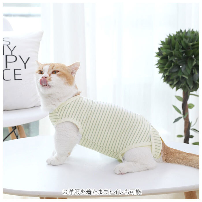 * stripe * L size cat . after clothes mail order clothes .. scratch lick prevention hand . after stripe rompers coveralls coverall Western-style clothes wear . after we