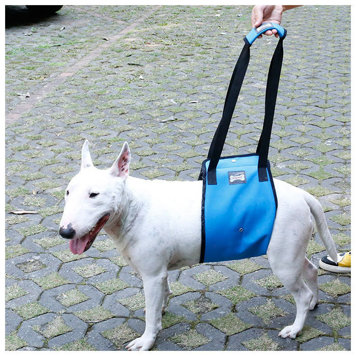 ☆ ダークグレー ☆ Mサイズ 犬 介護 ハーネス 通販 老犬介護用品 歩行補助 介護ハーネス 大型犬 中型犬 小型犬 簡単装着 シニア犬 歩行補_画像7