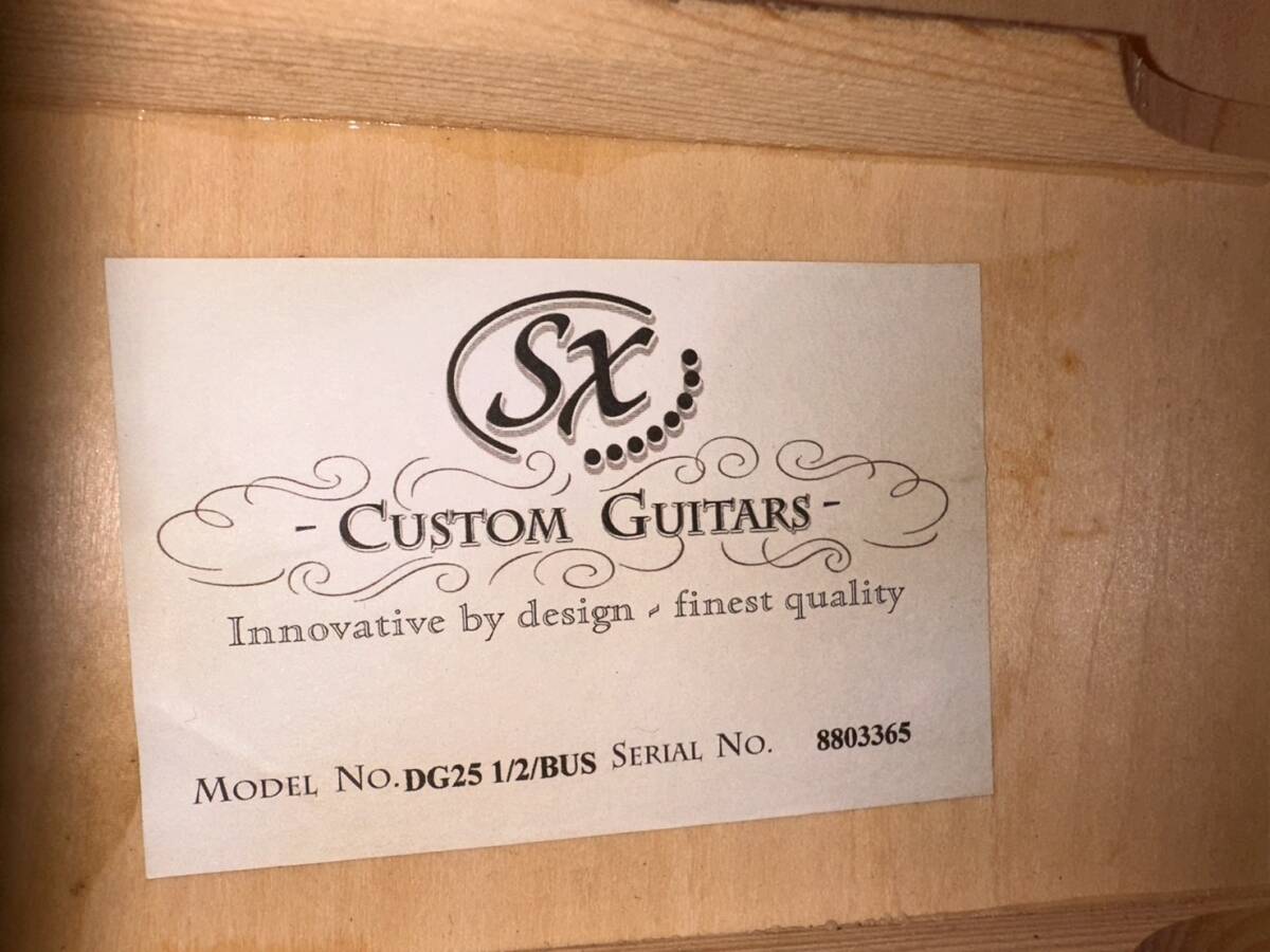 F310-000000 SX CUSTOM GUITARS カスタムギター DG25 1/2/BUS アコギ アコースティックギター 本体カラーブルー 弦楽器 ③の画像5