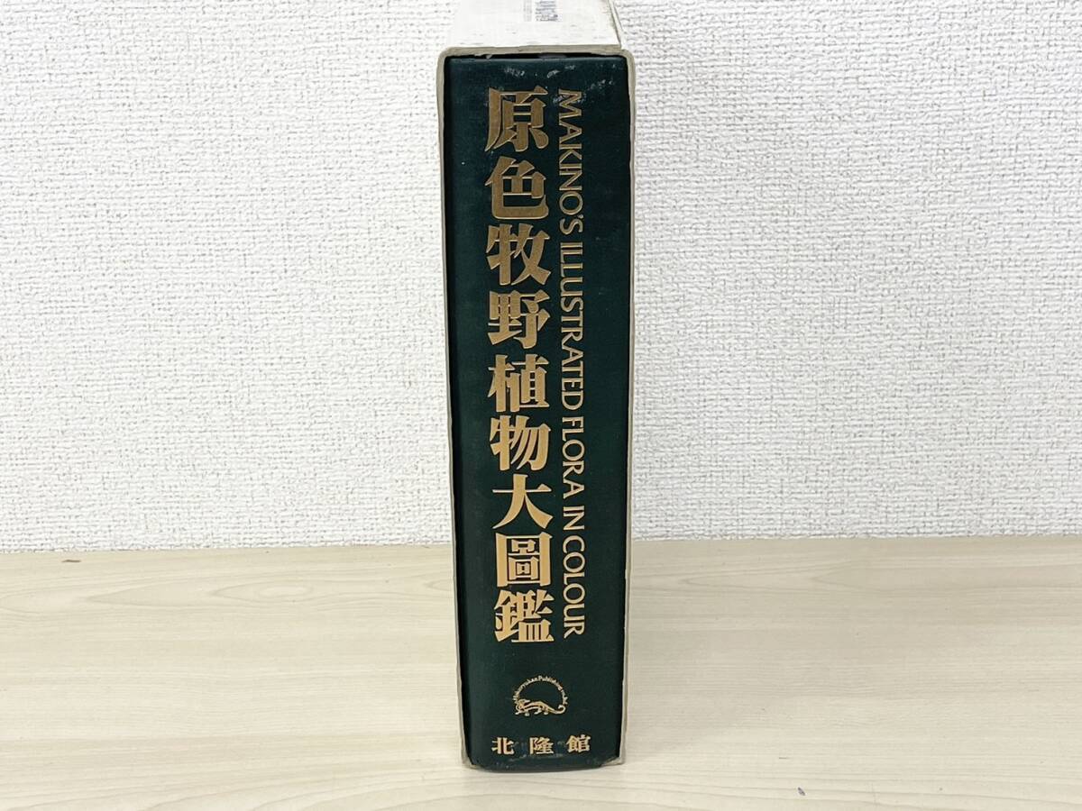 W538-T23-194 原色牧野植物大圖鑑 牧野富太郎 植物 図鑑 北隆館 本 ⑥の画像4