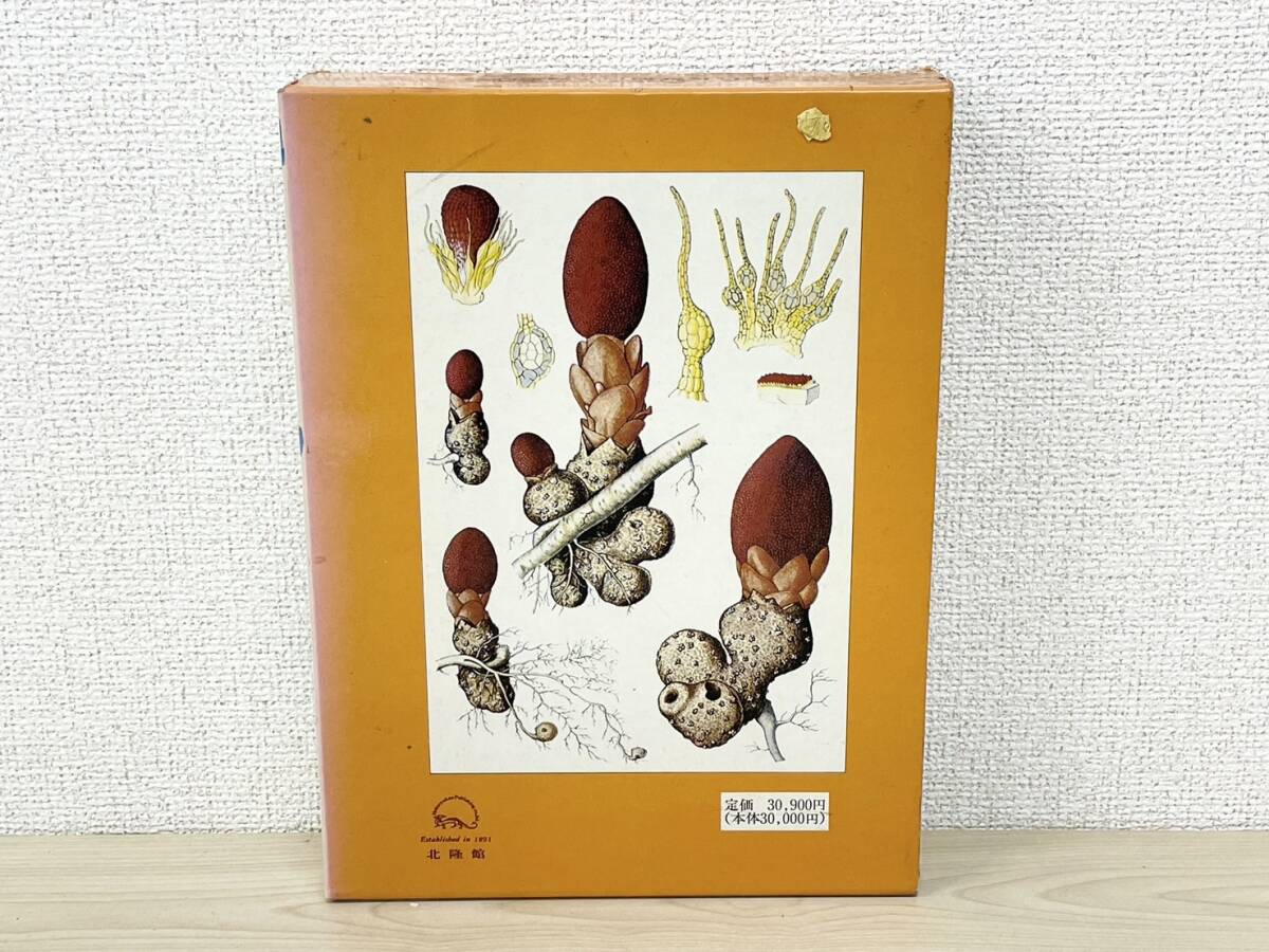 W540-T23-189. цвет .. растения большой иллюстрированная книга . сборник ... Taro север . павильон книга@⑥