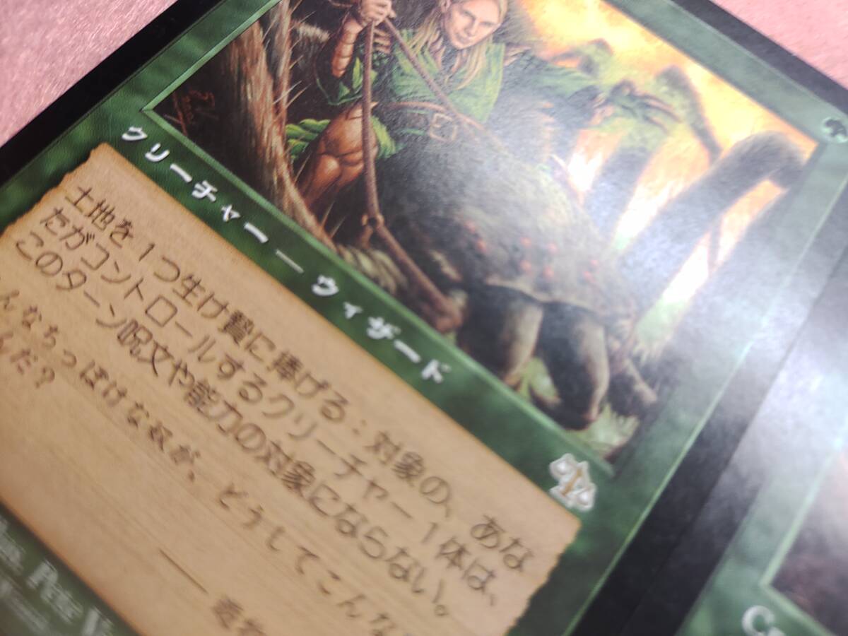 森を護る者（Sylvan Safekeeper）、種蒔き時、ジャッジメント、X4枚の画像6