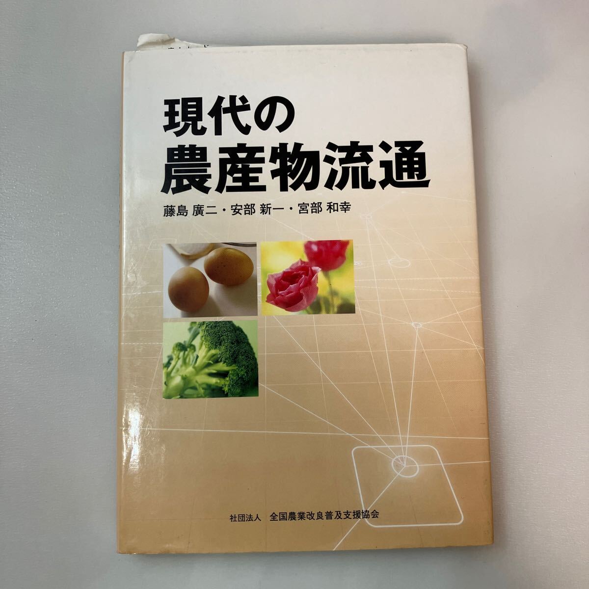 zaa-571♪現代の農産物流通 　単行本 藤島広二 (著) 安部新一 (著)　全国農業改良普及支援協会; 新版 (2006/4/1)_画像1