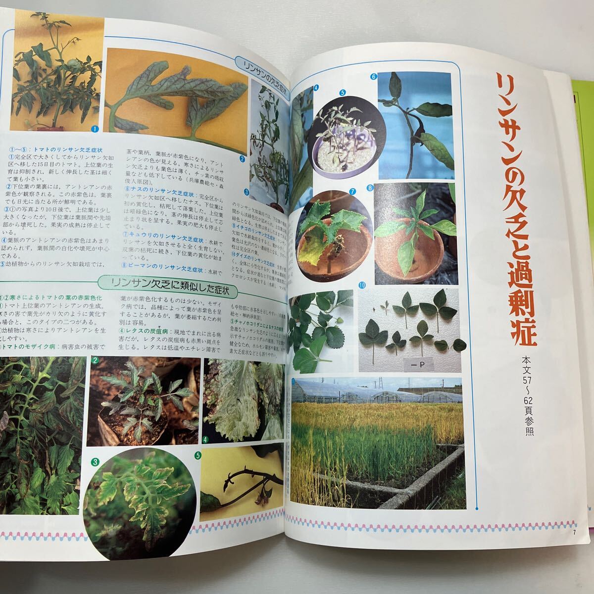 zaa-572 原色 野菜の要素欠乏・過剰症―症状・診断・対策 渡辺 zaa-572 原色 野菜の要素欠乏・過剰症―症状・診断・対策 渡辺