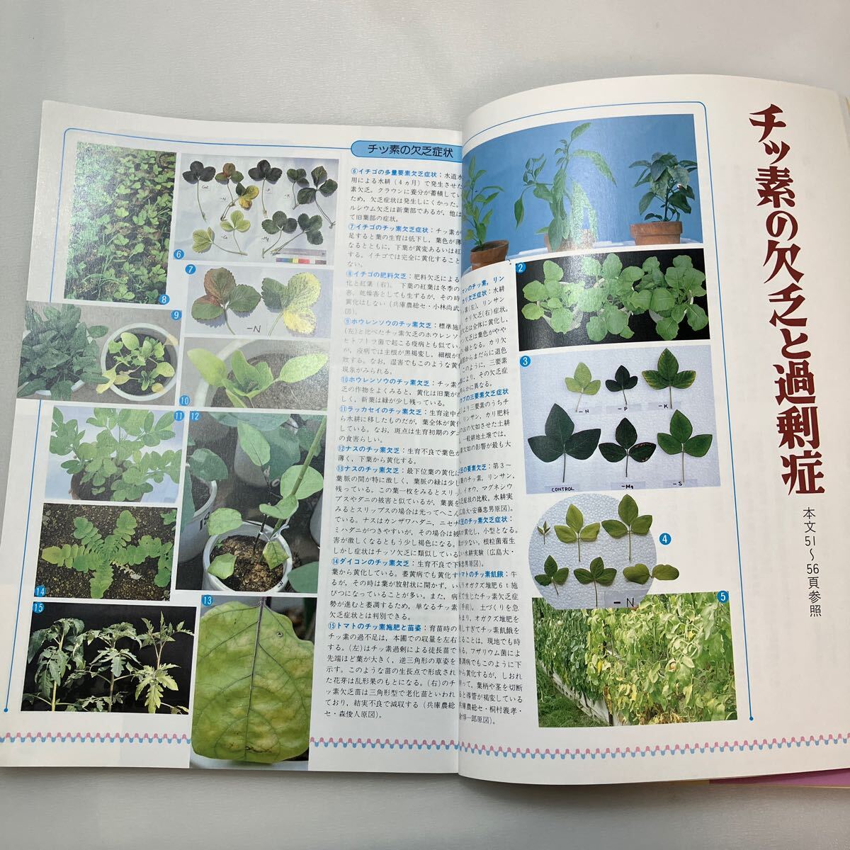zaa-572 原色 野菜の要素欠乏・過剰症―症状・診断・対策 渡辺 zaa-572 原色 野菜の要素欠乏・過剰症―症状・診断・対策 渡辺