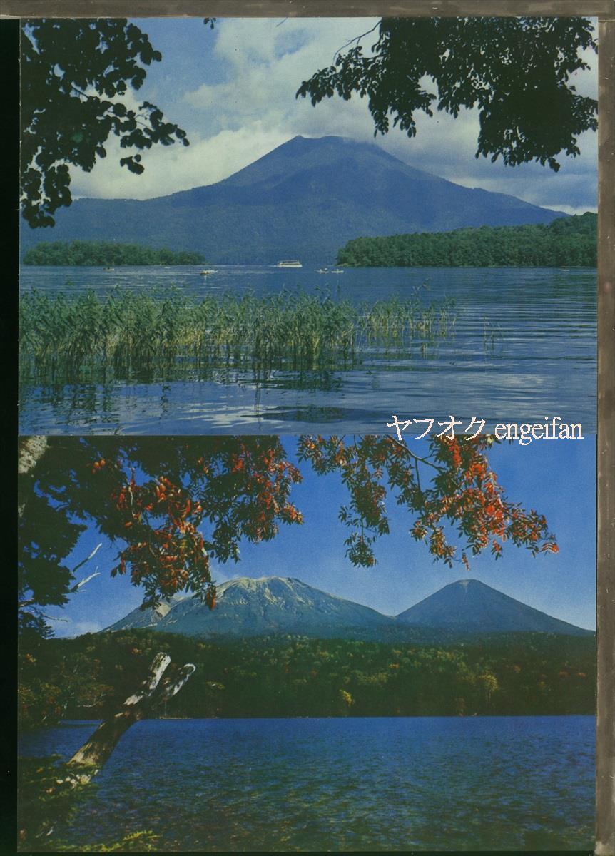 ♪絵葉書21711b┃阿寒湖8枚ケース付┃北海道 カラー┃_画像4