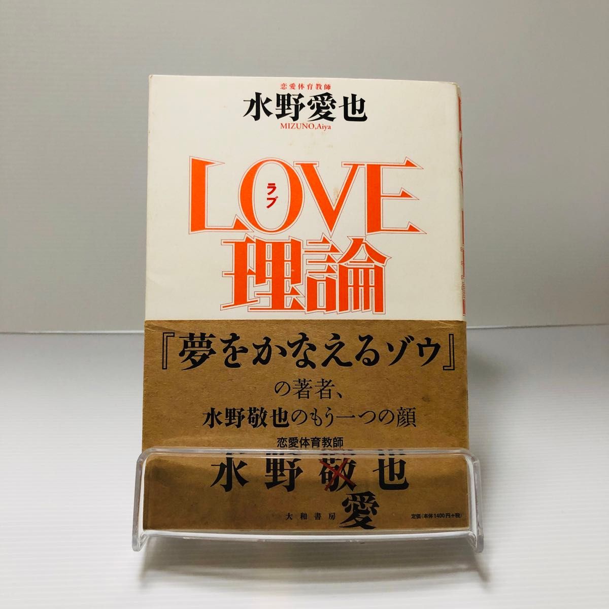 ＬＯＶＥ理論 水野愛也／著