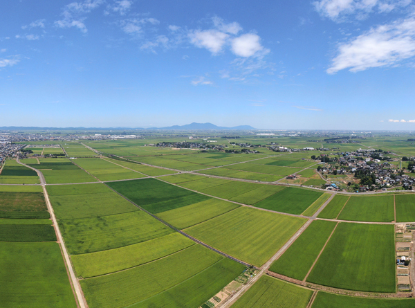 令和５年●精米25キロ小粒 新潟県産従来コシリカリ小粒（選別網目小粒1.7mm以下）2の画像7