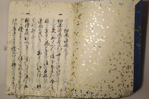 「馬術書 (高麗流 鹿島流 八條高倉流)」写本 文政5年跋 1冊｜有職故実 八條流 八條家 絵入り 肉筆 江戸時代 古書 和本 古典籍 n87_画像5