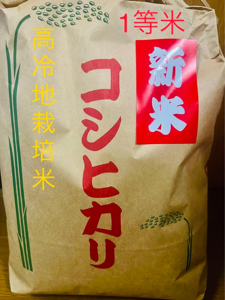 新米　1等米　コシヒカリ　10キロ　島根県　農家直送　送料無料　米　こしひかり　10kg