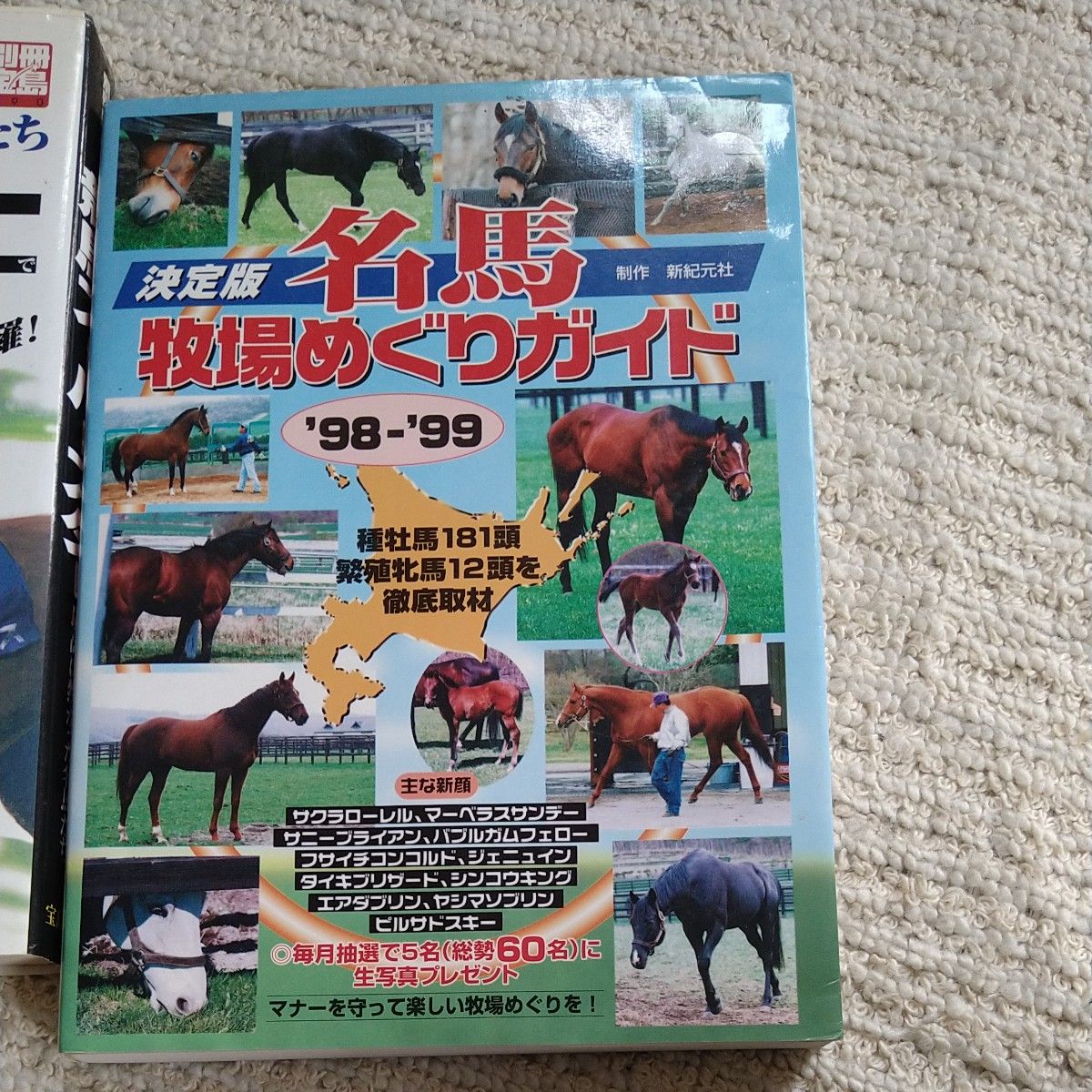 希少　競馬　マニア向け２冊セット