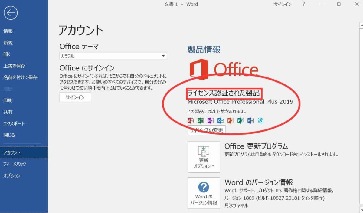  【いつでも即対応★永年正規保証】 Microsoft Office 2019 Professional Plus 正規認証保証 プロダクトキー 日本語 ダウンロード の画像2