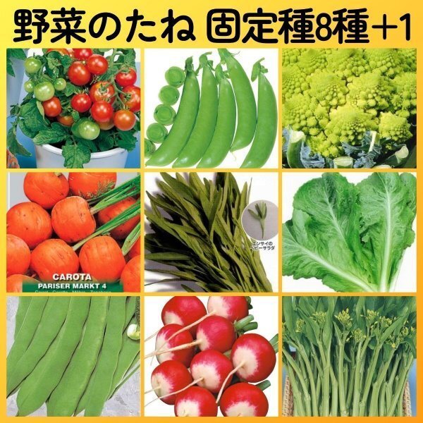 匿名配送無料◆固定種野菜種8+1◆ミニトマトレジナエンドウカリフラワーロマネスコ丸キャロットリーフレタス空芯菜インゲンラディッシュ_画像1