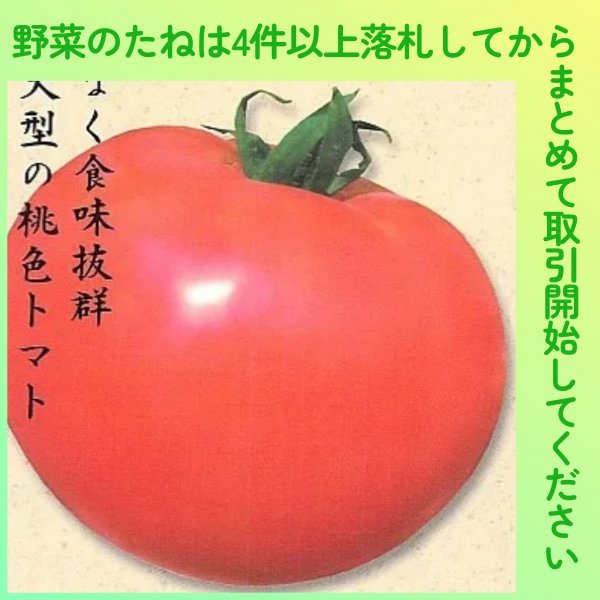 4件以上落札◆トマト種◆世界一トマト10粒◆固定種 大玉トマト_画像1