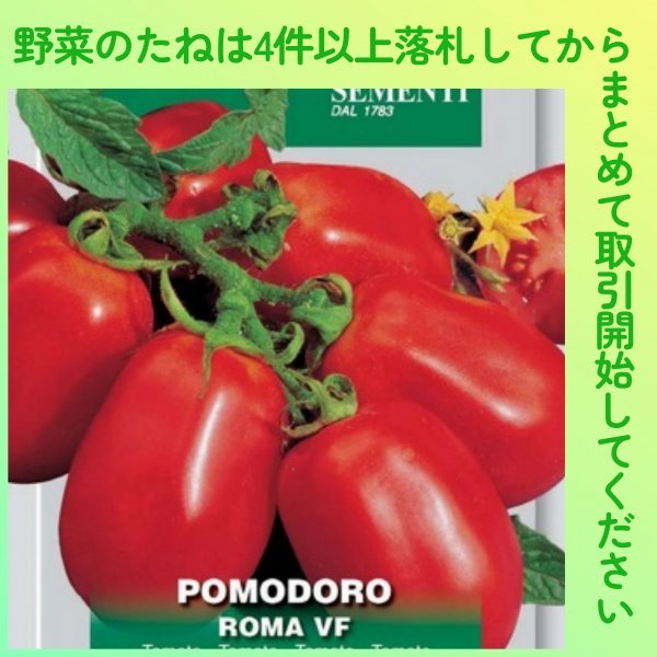 4件以上落札◆トマト種◆ローマVF 10粒◆固定種 加熱用 調理用 中玉イタリアントマト_画像1