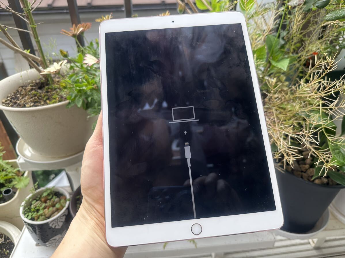 Apple iPad Pro 10.5 Wi-Fi ゴールド 256GB 現状品_画像6