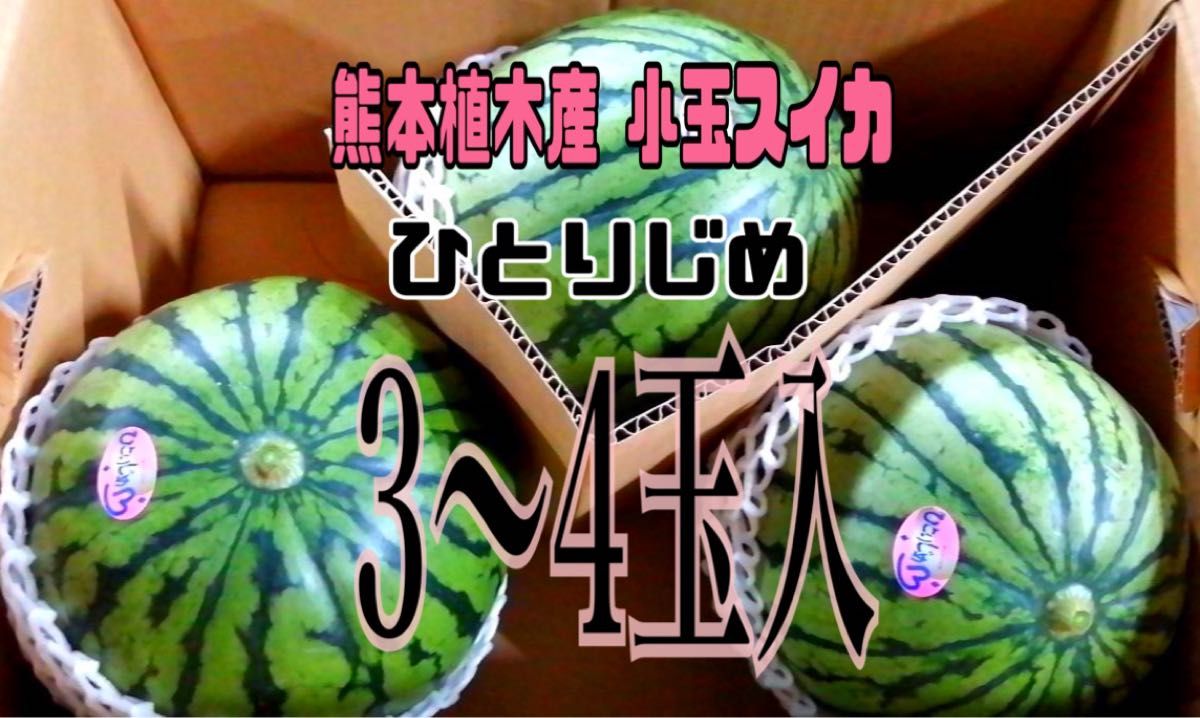 ☆初物☆熊本植木産 小玉スイカ ひとりじめ (3～4玉入)