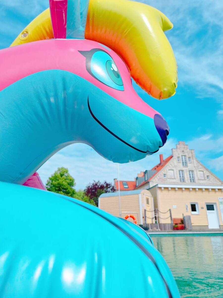 *Horseplay производства розовый хаски воздух винил способ судно пустой bi float надувной круг Inflatable Pink husky Pool toys Balloon POP