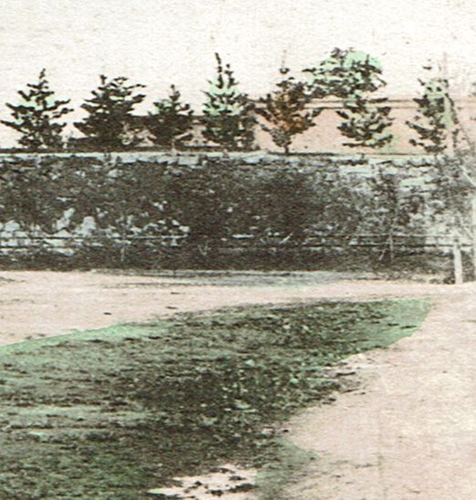 手彩色絵葉書 名古屋城 西の丸から見る天守 明治期の画像3