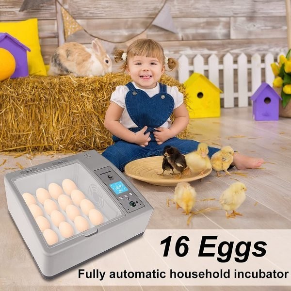 16 piece. full automation egg .. vessel small size universal digital . egg vessel chicken .. vessel .. vessel birds exclusive use .. vessel automatic rotation egg Home in kyu Beta - digital display 