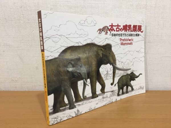 【送料160円】図録 太古の哺乳類展 日本の化石でたどる進化と絶滅 国立科学博物館 2014年の画像1