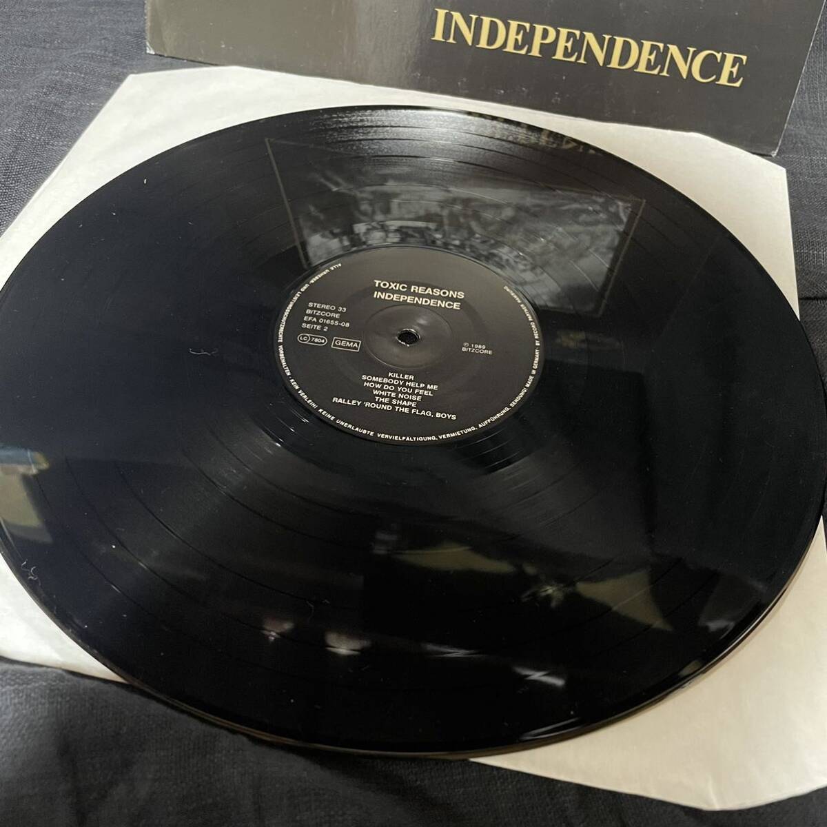 Toxic Reasons 『Independence』 LPレコード パンク・ハードコアの画像4