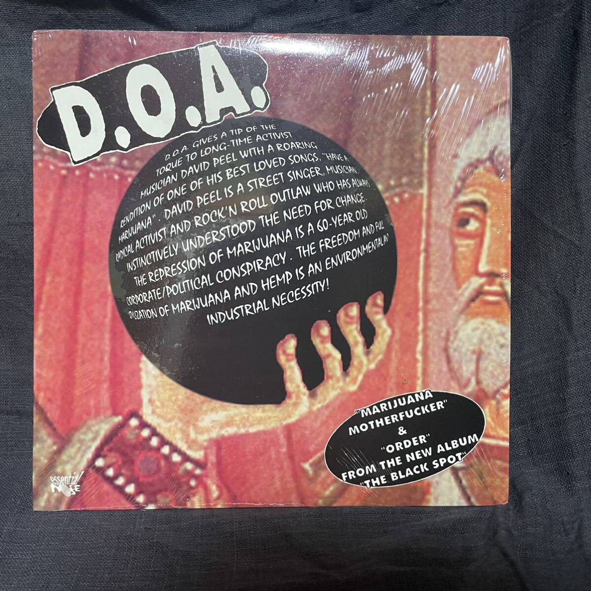 【カラー盤】 D.O.A. 『The Show Business Giants』 10インチレコード パンクの画像1