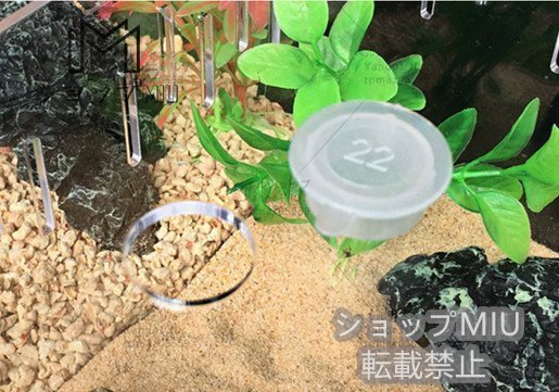  reptiles amphibia lizard rep tile cage rep tile box breeding cage small animals house construction type several .. transparent acrylic fiber made 