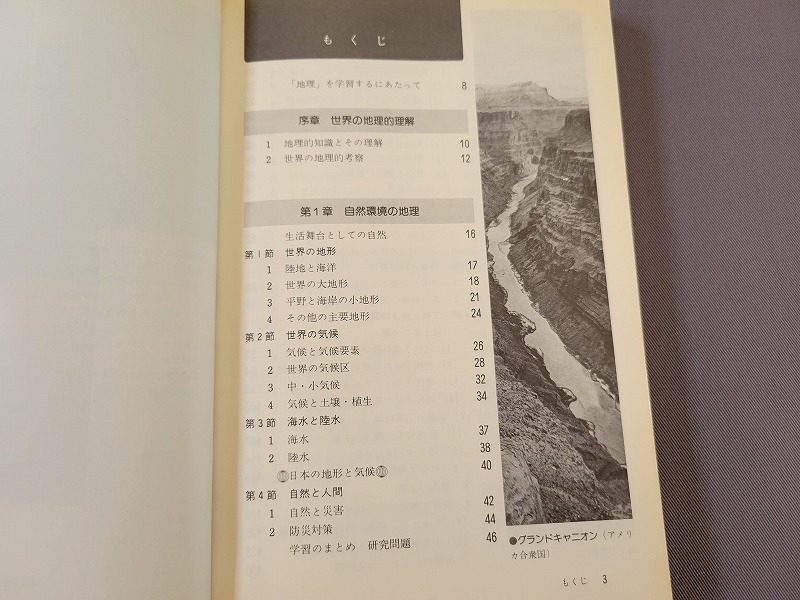 昭和63年発行　高校教科書　新訂 地理　教育出版　/A_画像3