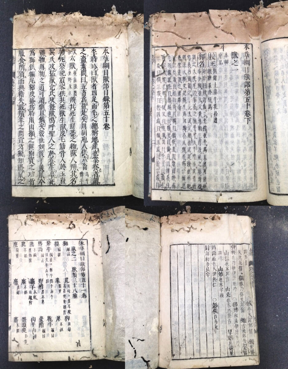 Y968 薬学 漢方 医学書◆本草綱目◆校正 14冊 毒草 菜 木 果 虫 介 魚 獣部 史料 江戸 時代物 木版 骨董 古美術 古典籍 古文書 和本 古書の画像8