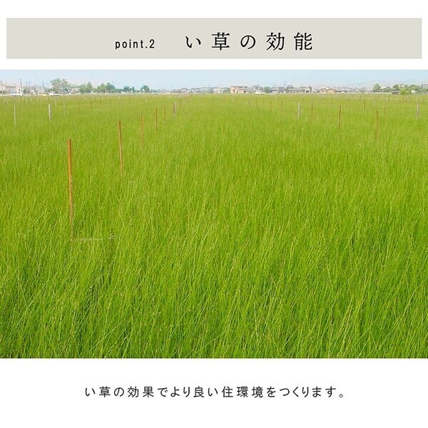 国産 い草 日本製 置き畳 約70×70×1.5cm6P（6枚組） ユニット畳 簡単 和室 ネイラル U畳_画像3