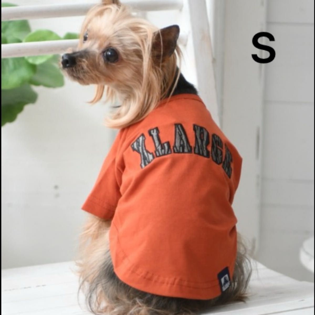 【新品未開封】XLARGE エクストララージ　犬服　ゼブラロゴTシャツ　オレンジ　Sサイズ　ペット服　ブランド犬服