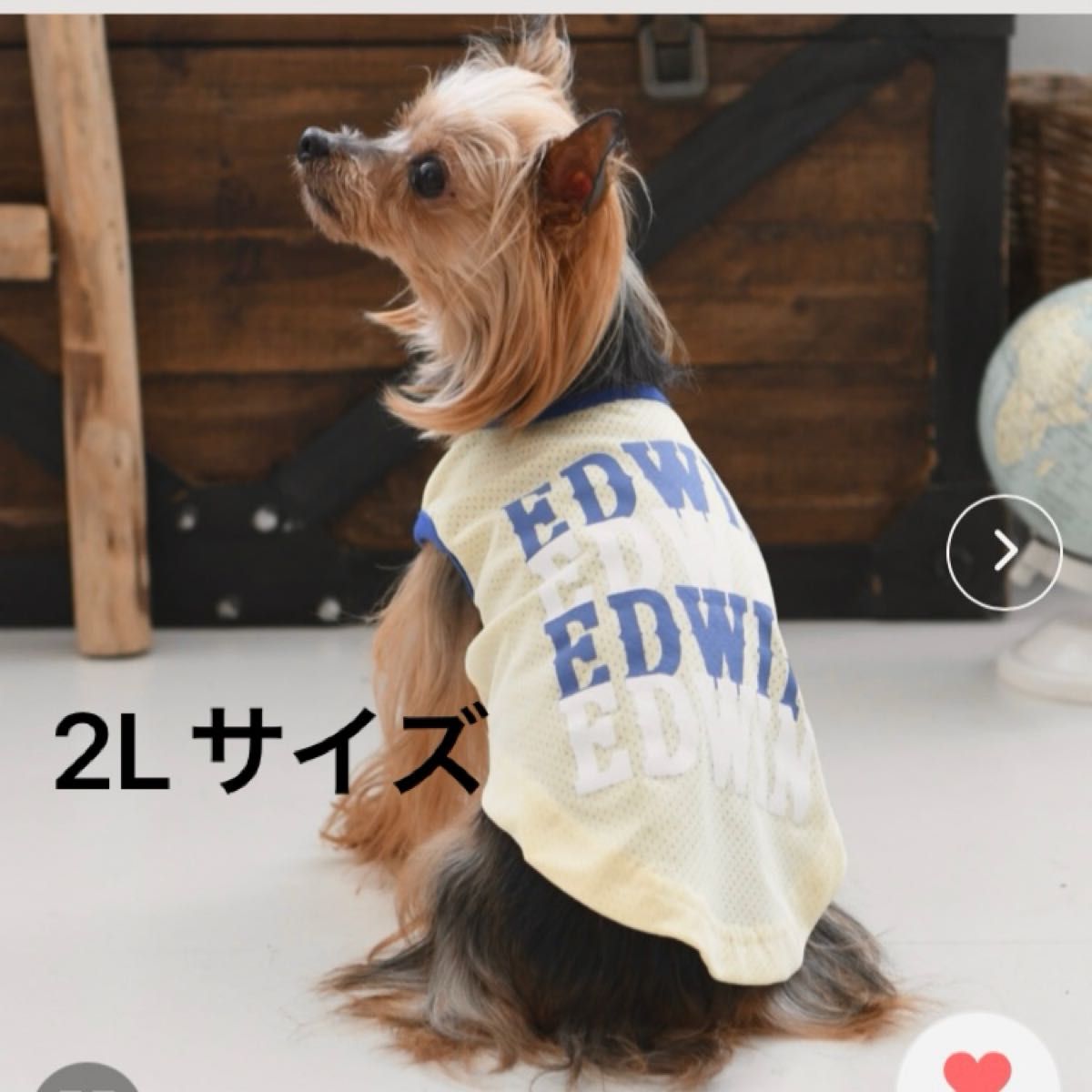 【新品】EDWIN エドウィン　リピートロゴタンク 犬服　ペット　2Lサイズ