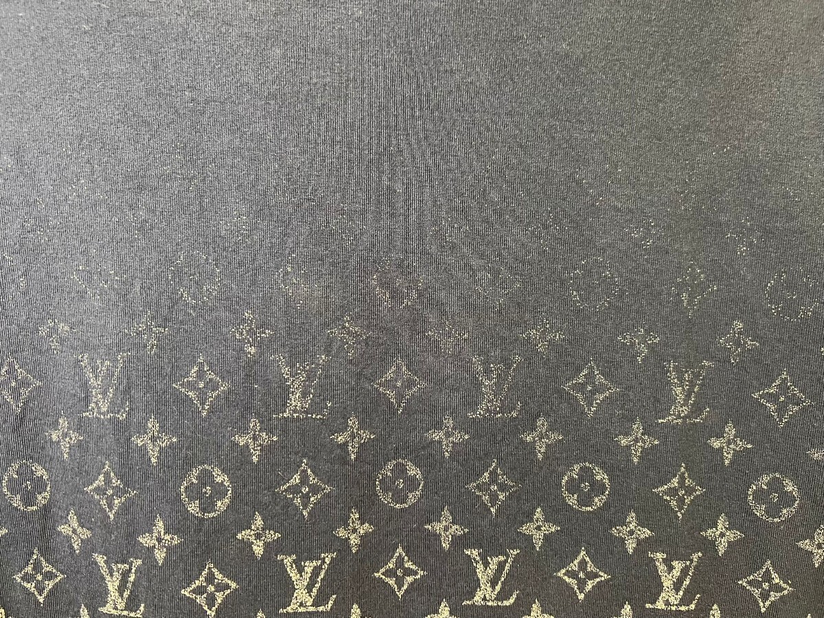 ルイヴィトン LOUISVUITTON グラディエント Tシャツ カットソー 半袖 日本未入荷カラー の画像8