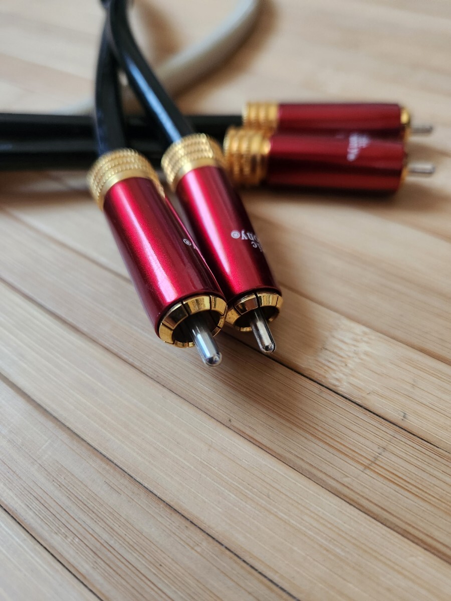 Acoustic Harmony acoustic is - moni -WR1 RCA cable ①