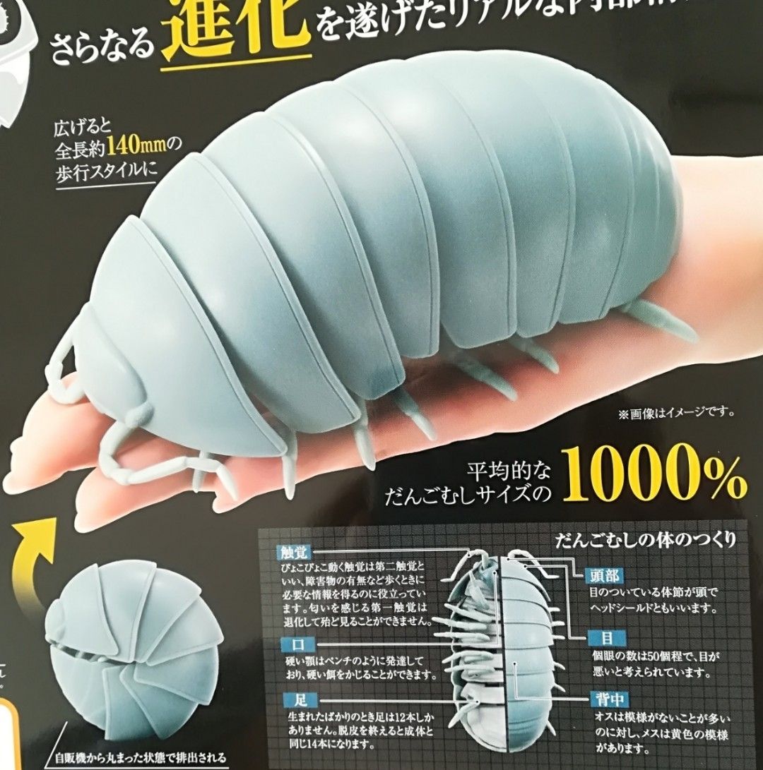 いきもの大図鑑 だんごむし02 全3種類 新品 大きさ1000%のボリューム 昆虫 カプセルトイ ガチャ ガシャポン