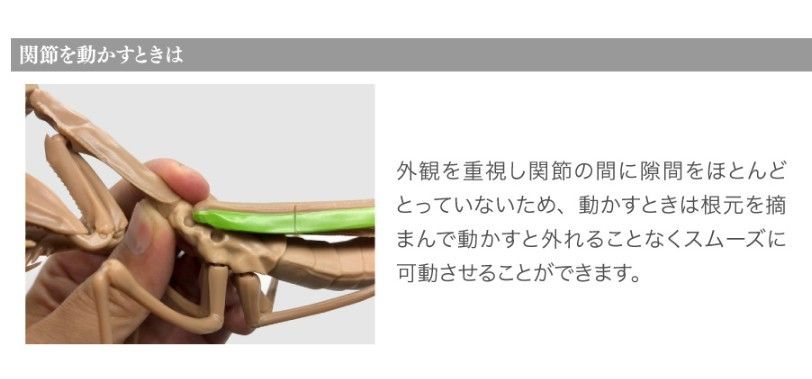 いきもの大図鑑 かまきり全５種類  大きいリアルフィギュア 新品  バンダイ ガシャポン カプセルトイ ガチャ