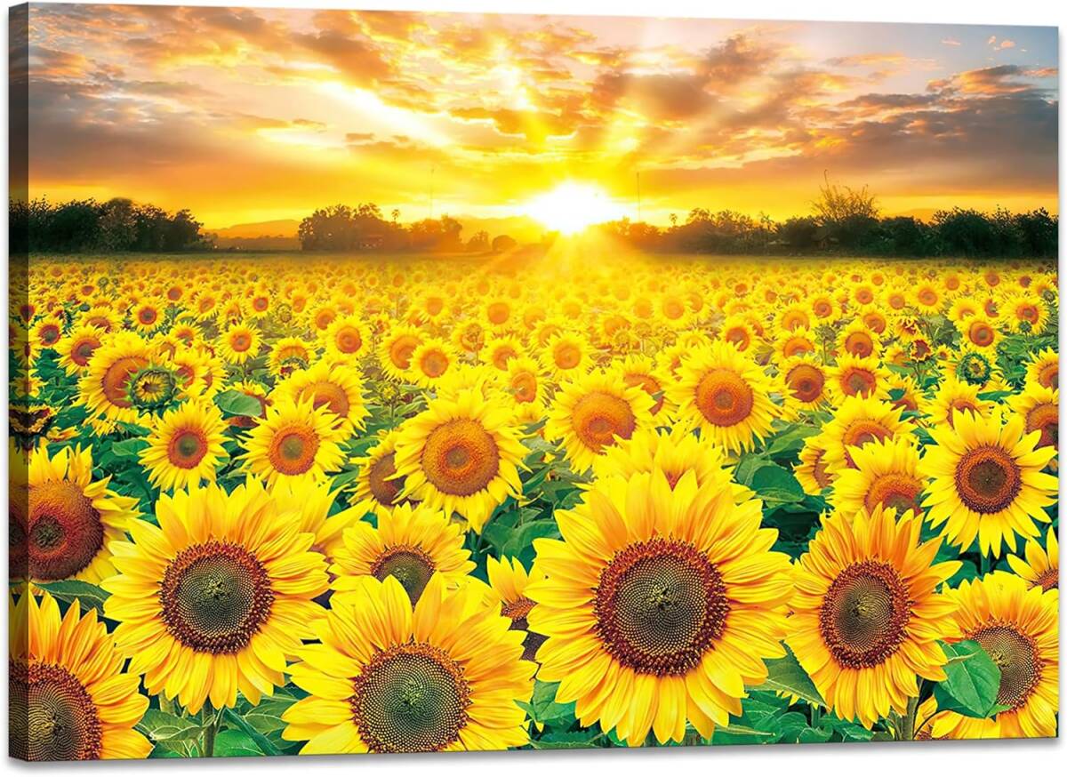  art panel sunflower Mukou .hi around ornament art poster canvas . interior canvas summer new goods 30x40cm