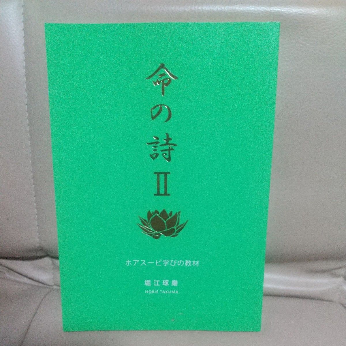 「命の詩Ⅱ」ホアスーピ学びの教材、堀江琢磨、サイババ