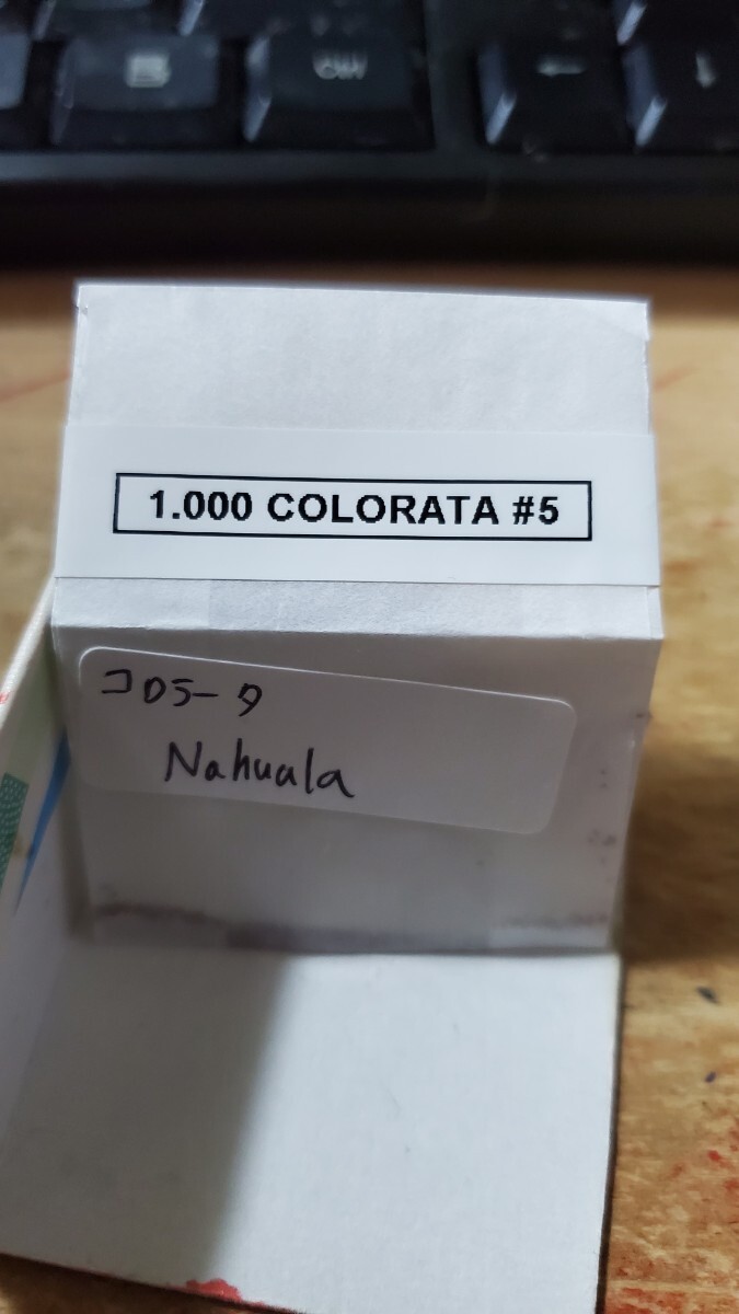 エケベリア コロラータ Nahuala 種子30粒の画像1