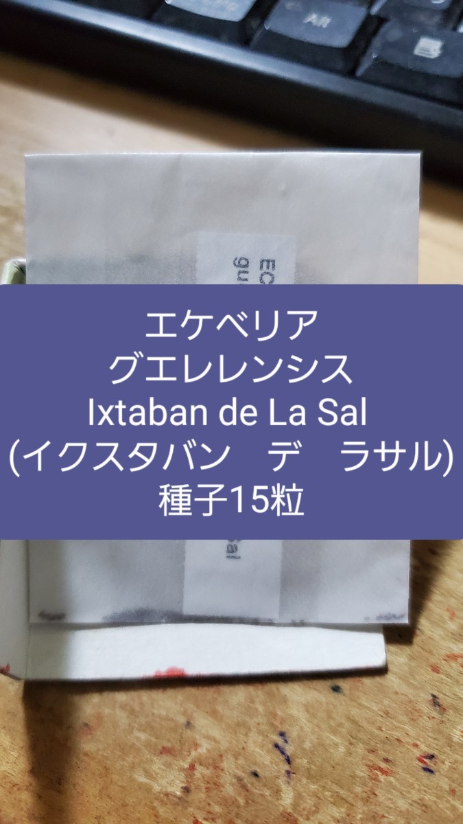 エケベリア　グエレレンシス, Ixaban de La Sal　種子15粒_画像1