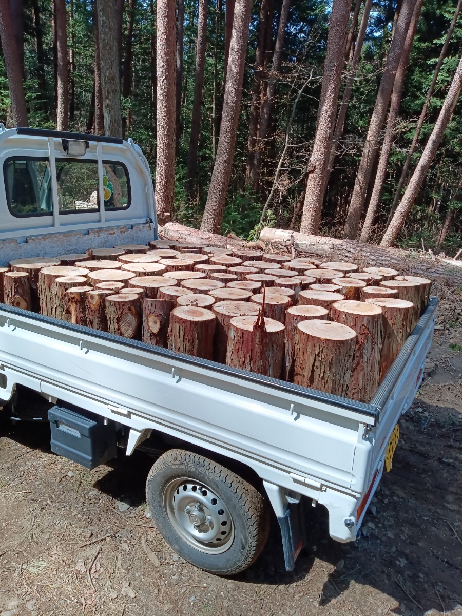  firewood circle futoshi needle leaved tree wood stove for 
