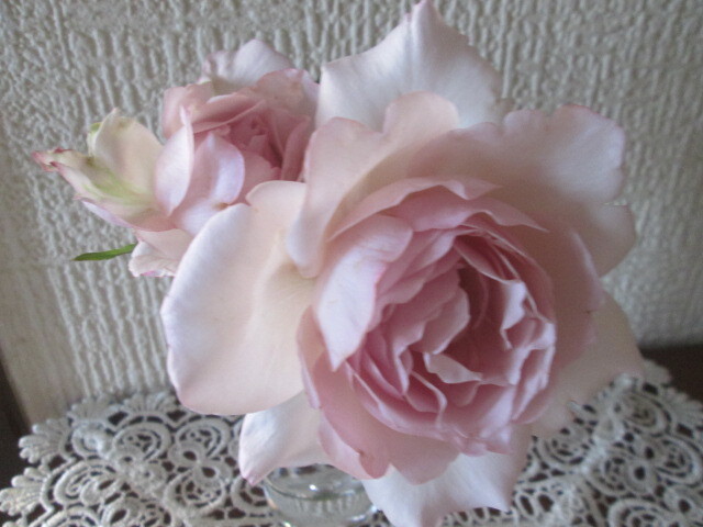 ** rare * rose dutize-ru*ivu cut flower goods kind * Ryuutsu little *
