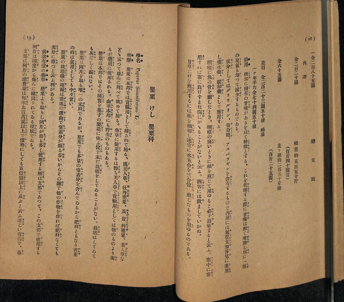 『薬草栽培講義録　第二巻』森田次郎　東洋薬草普及会　大正七年(1918)　医学史　薬学史【24-0412-10】_画像9