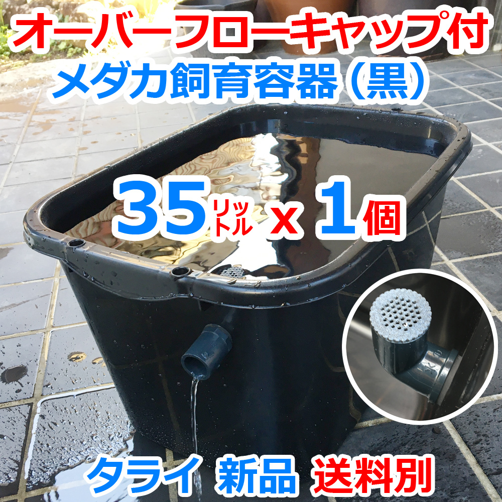 メダカ飼育容器【35㍑ 黒 1個 オーバーフローキャップ付】送料別 メダカ飼育ケース 金魚 タライ ビオトープ 水槽 睡蓮鉢【五色アクア】の画像1