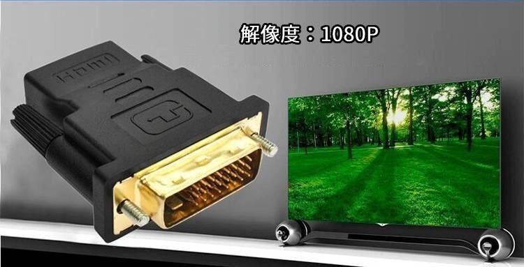 HDMI-DVI変換プラグ　HDMI(メス)-DVI(オス)変換アダプター