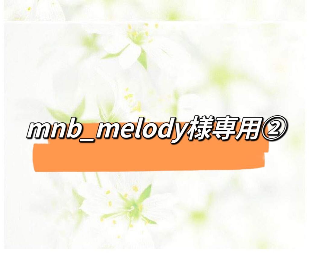 mnb_melody様専用ページ②の画像1